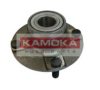 KAMOKA 5500020 Wheel Bearing Kit